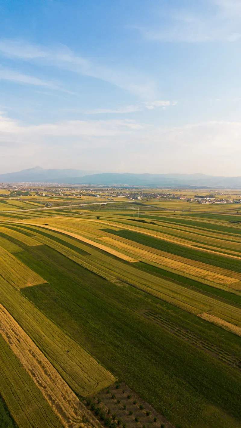 AgroValle Ibérico S.L.